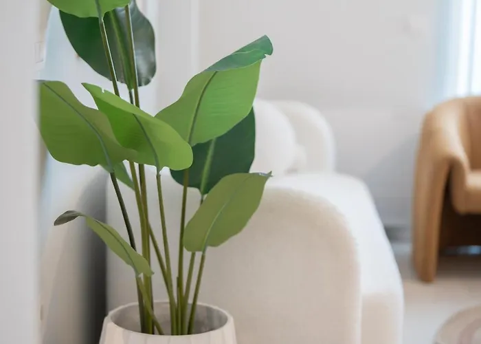 Appartement Aurelia Kos